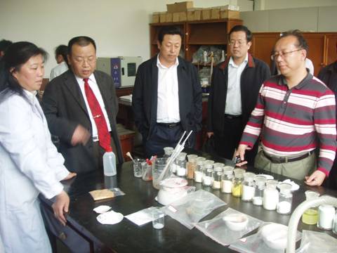 潘爱芳教授向专家介绍粉煤灰综合利用技术